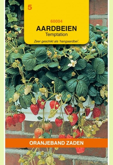 Strawberry Temptation (Fragaria) 25 seeds OBZ
